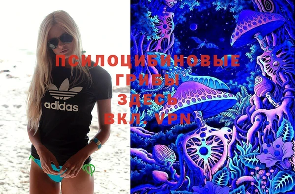 спиды Нефтекумск