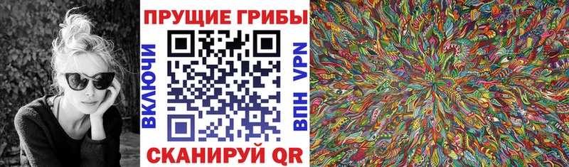 Купить где  Нытва  Псилоцибиновые грибы Psilocybine cubensis 
